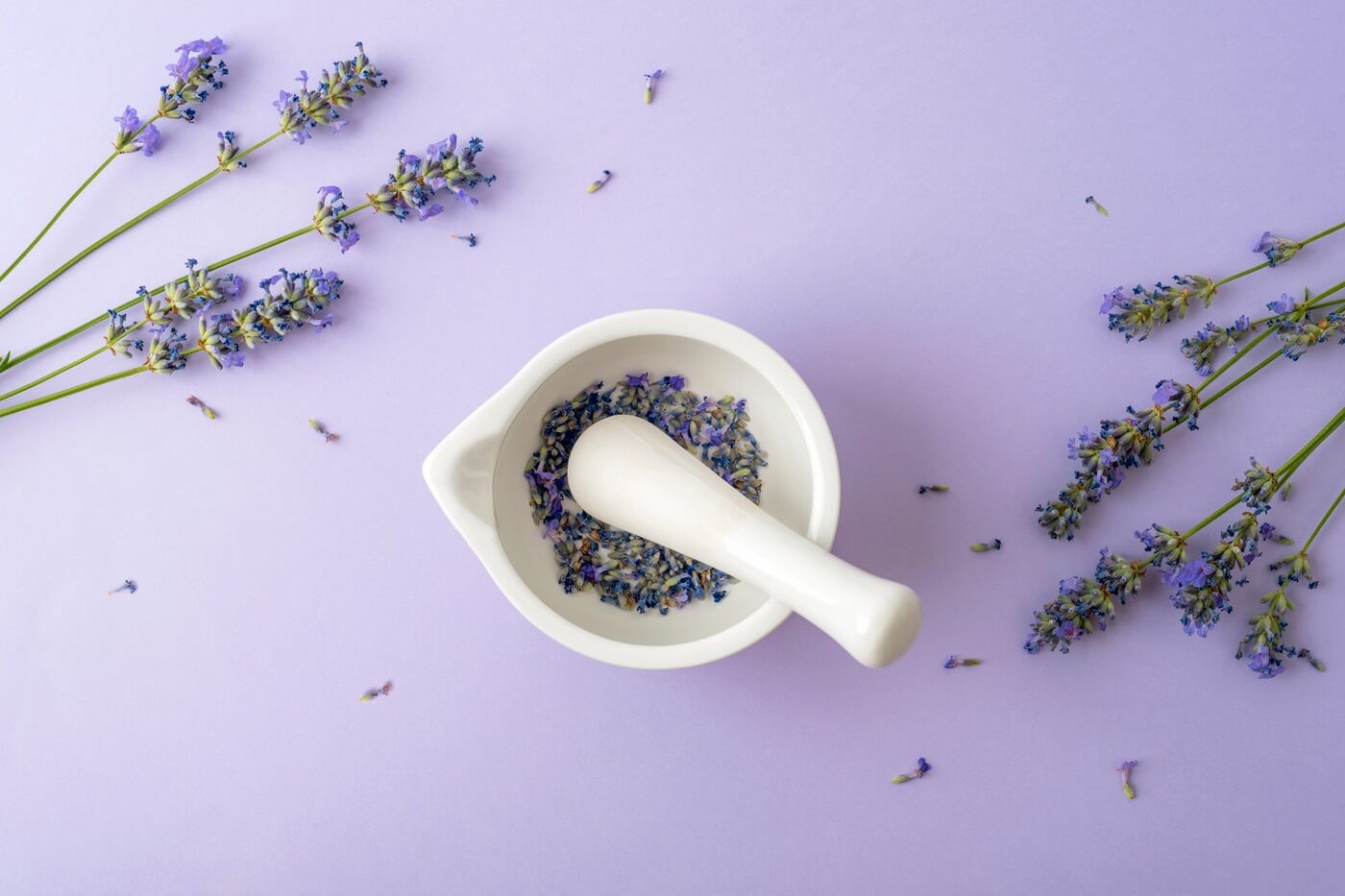 Lawenda w moździerzu na fioletowym tle, obok gałązek lawendy.