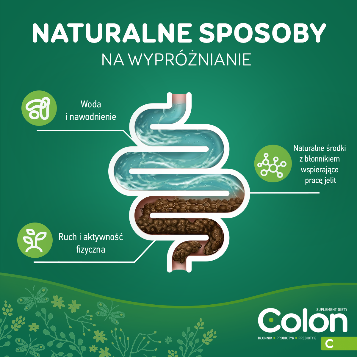 Infografika przedstawiająca naturalne sposoby na regularne wypróżnianie się.