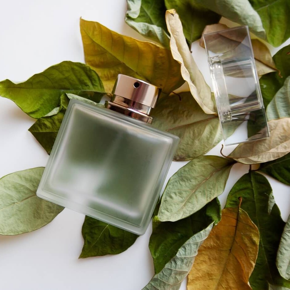 Zapach fougère – ponadczasowa nuta. Jak pachnie w perfumach?