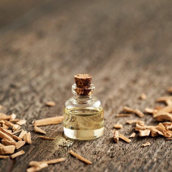 Perfumy cedrowe męskie – kto powinien postawić na zapach z nutą drzewa cedrowego?