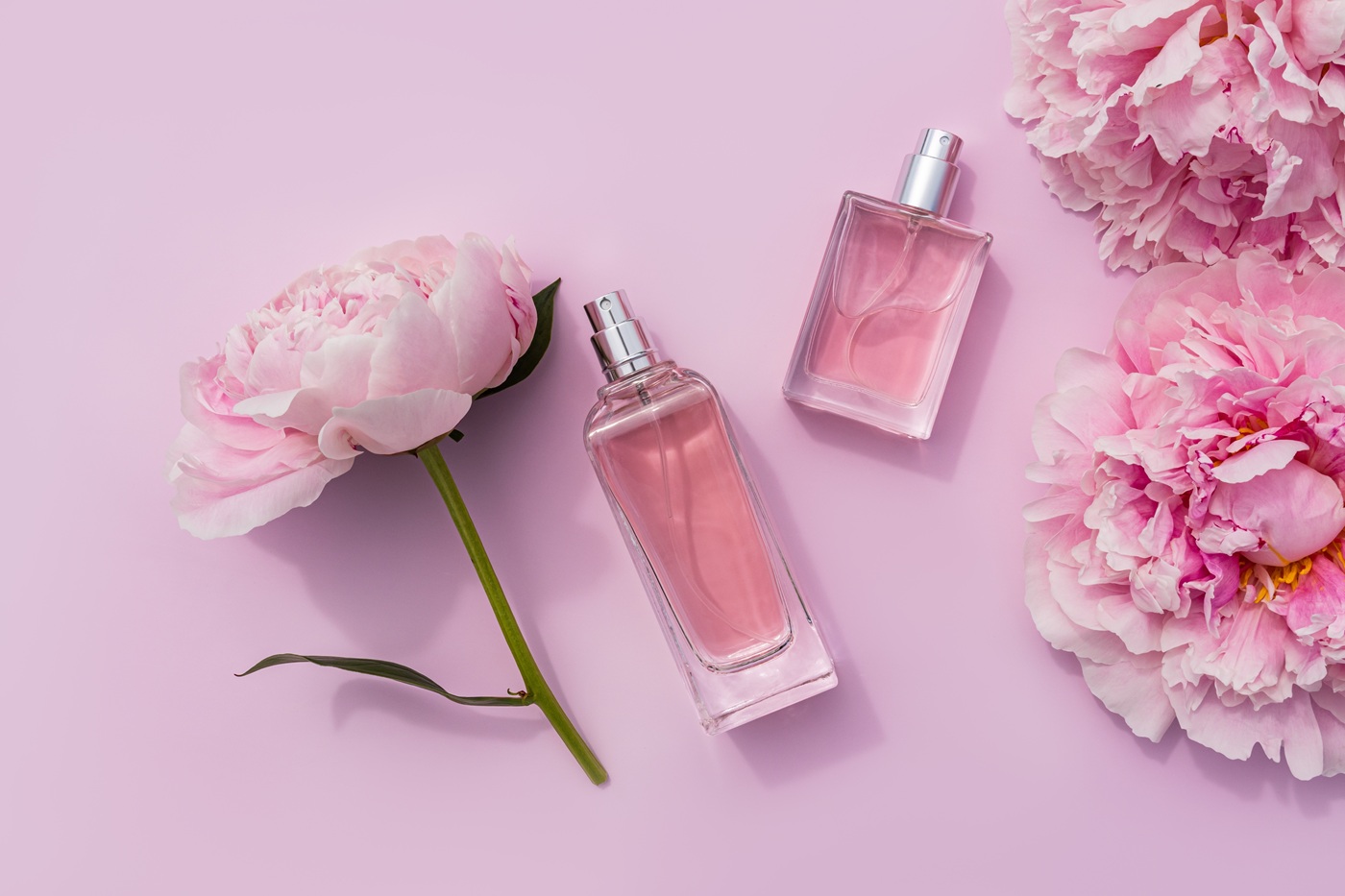 Dwa eleganckie flakony perfum z różowym płynem ułożone na pastelowym, różowym tle w otoczeniu kwiatów piwonii.