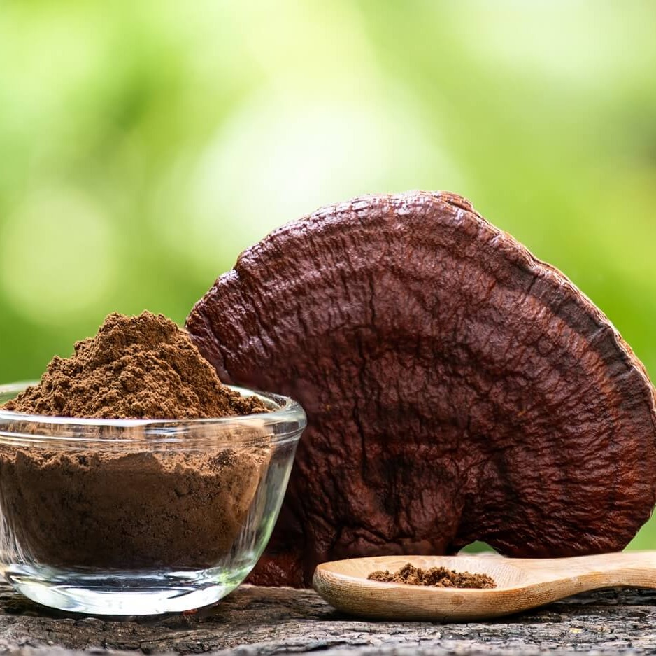 Grzybki Reishi w kosmetykach – właściwości, działanie i zastosowanie w pielęgnacji