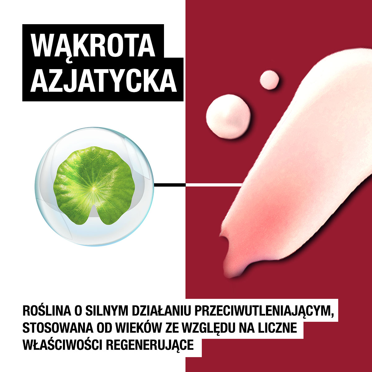 7961745583_Zdj_cie_do_tre_ci_1.jpg
