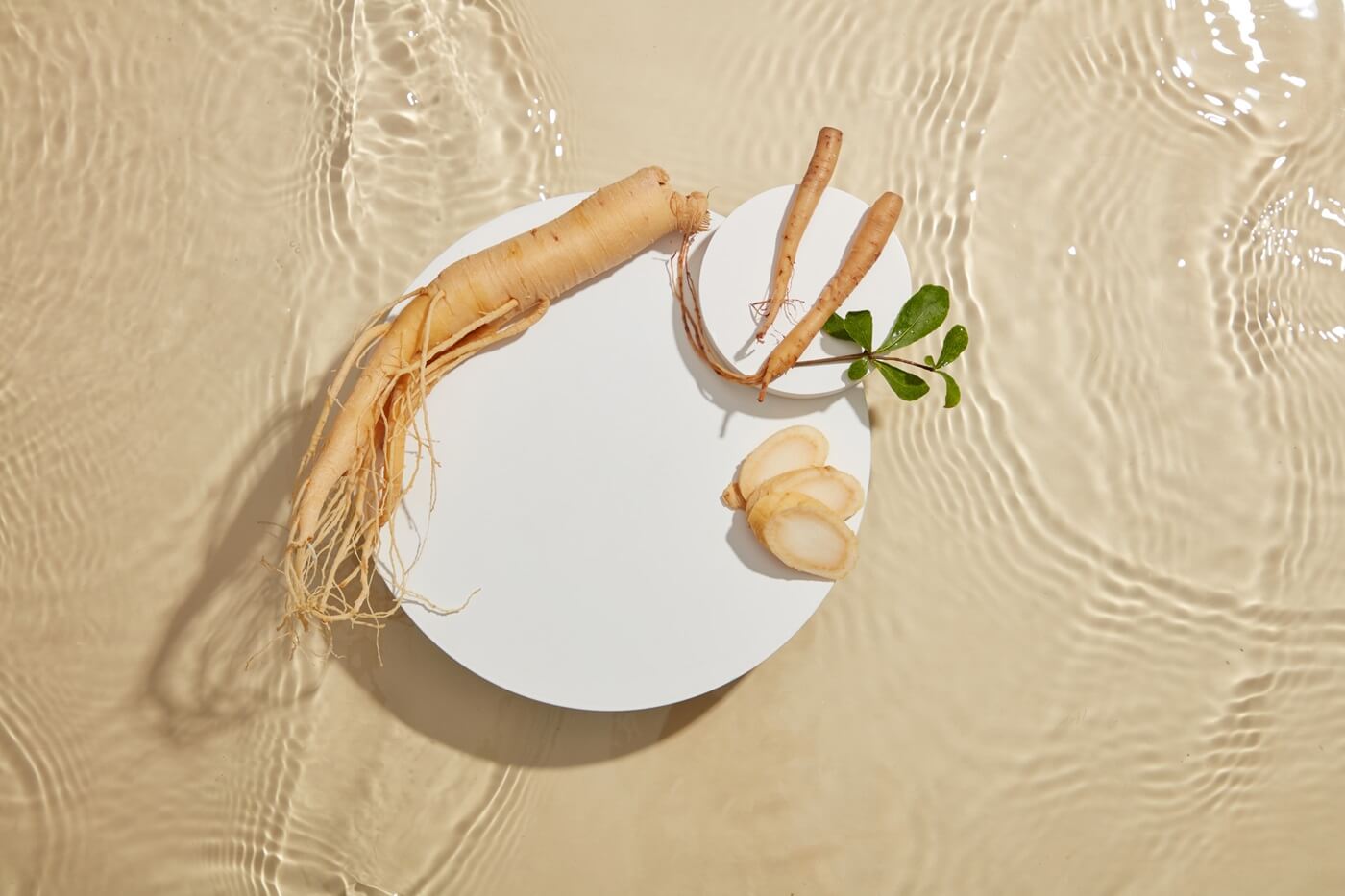 Koreański żeń-szeń na białej płycie, a pod nią woda.