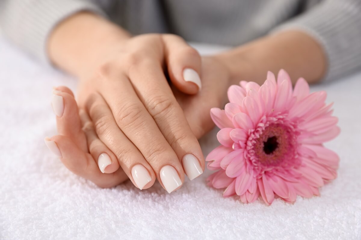 Łagodnie ułożone dłonie - jedna na drugiej - z manicure w stylu milky nails, a obok rózowy gerber.