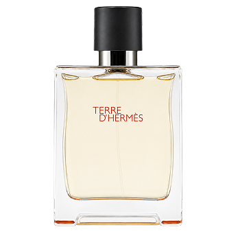Flakon Hermes Terre D'Hermes 