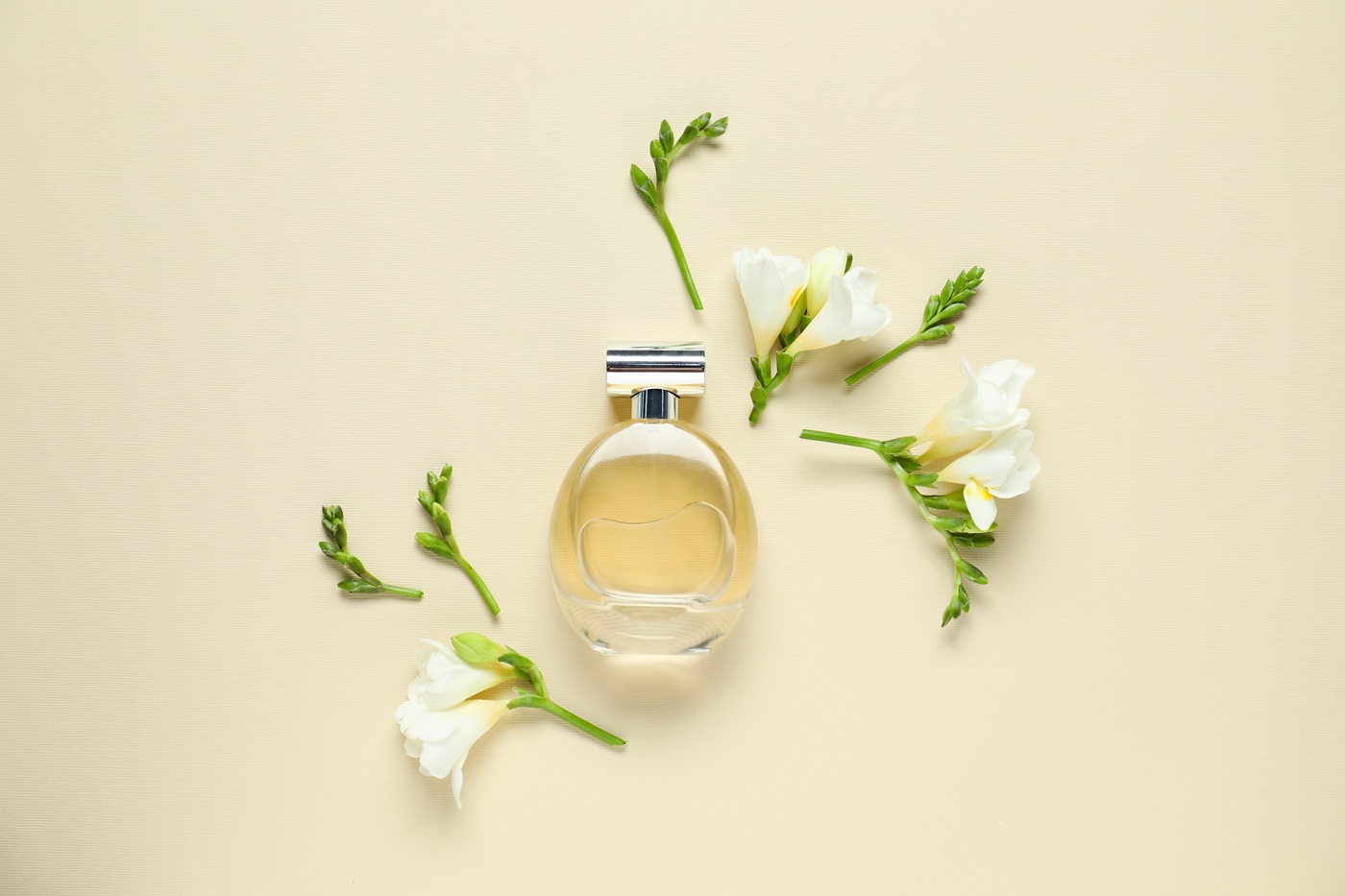 Szklany flakon perfum ustawiony na jasnym, kremowym tle, otoczony białymi kwiatami frezji.