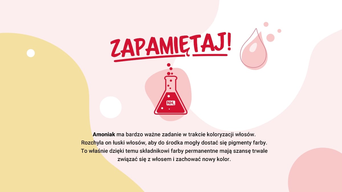loreal_infografika_4.jpg