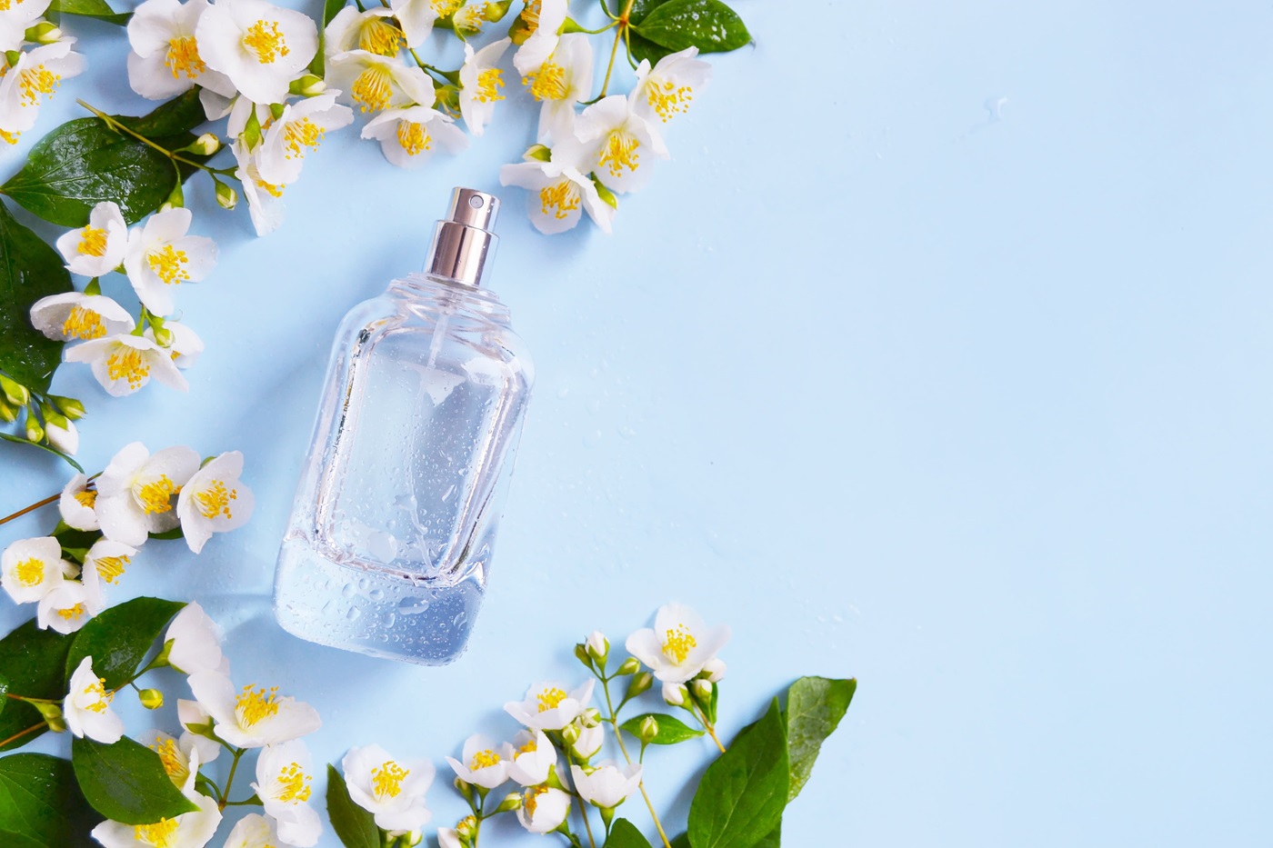 Jaśminowe perfumy na jasnym niebieskim tle wokół kwiatów jaśminu.