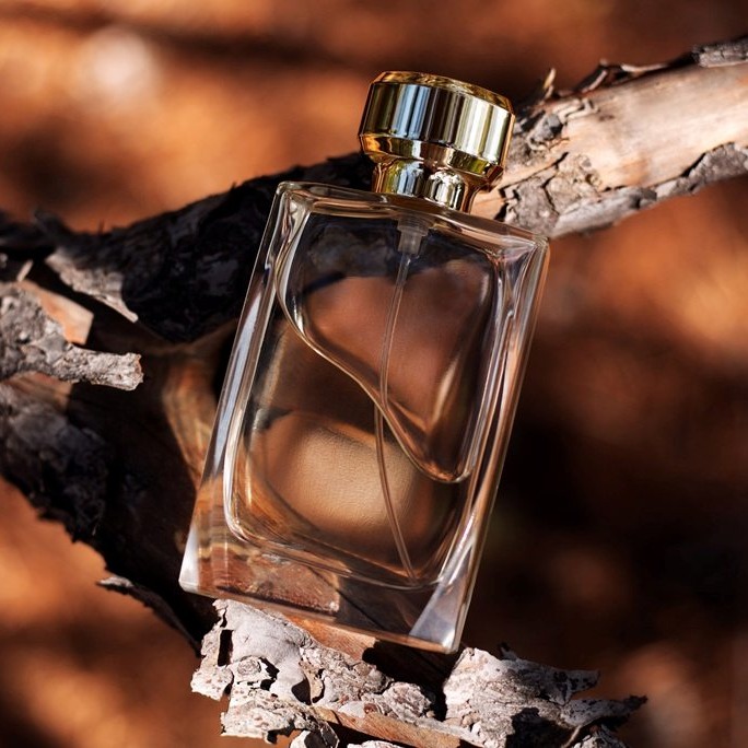 Perfumy drzewne – poznaj zapachy inspirowane naturą 
